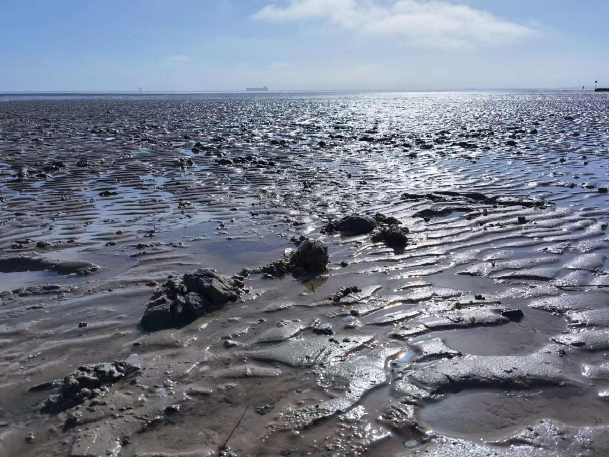 Schaake Schillig-Strandnahe Wohlfuehloase Mit Modernem Flair Und Kostenlosem Parken Buitenkant foto